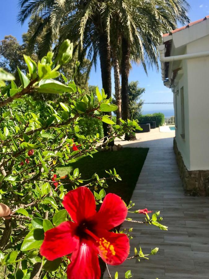 Villa Denia Costa Blanca Экстерьер фото
