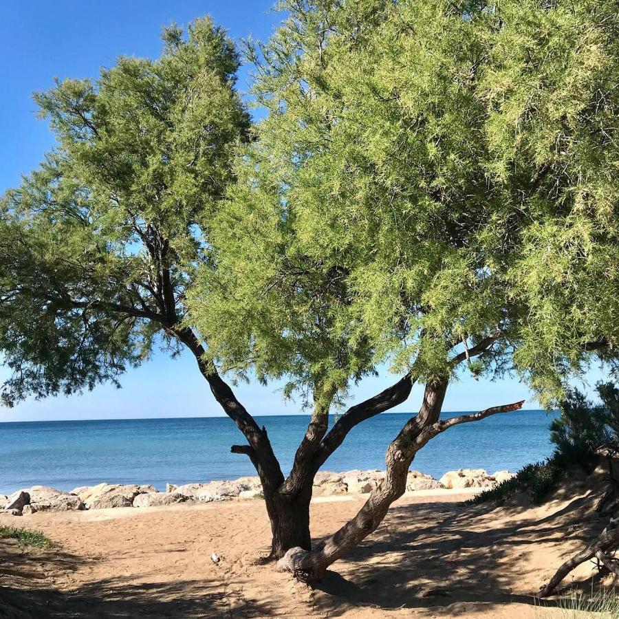 Villa Denia Costa Blanca Экстерьер фото